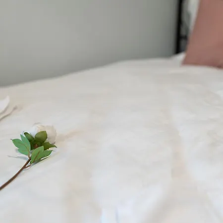 Noble 5 Star House In Unirii Plaza Villa Cluj-Napoca