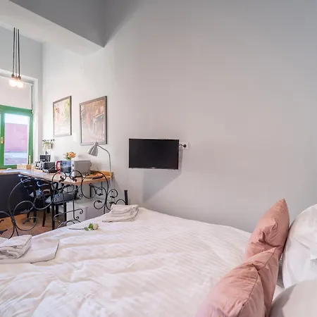 Villa Noble 5 Star House In Unirii Plaza Cluj-Napoca