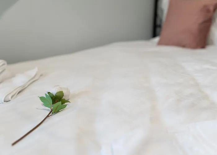 Noble 5 Star House In Unirii Plaza Villa Cluj-Napoca