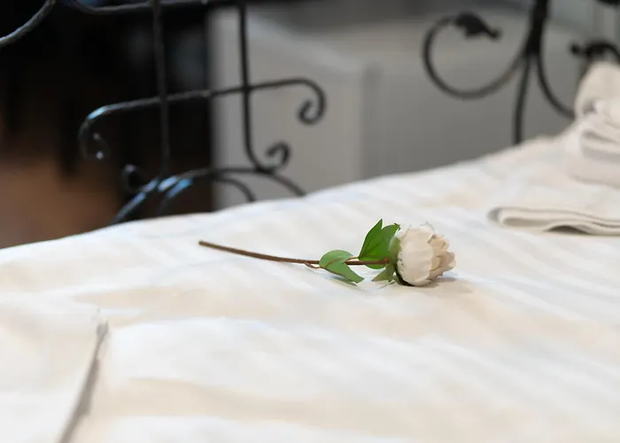 Noble 5 Star House In Unirii Plaza Cluj-Napoca