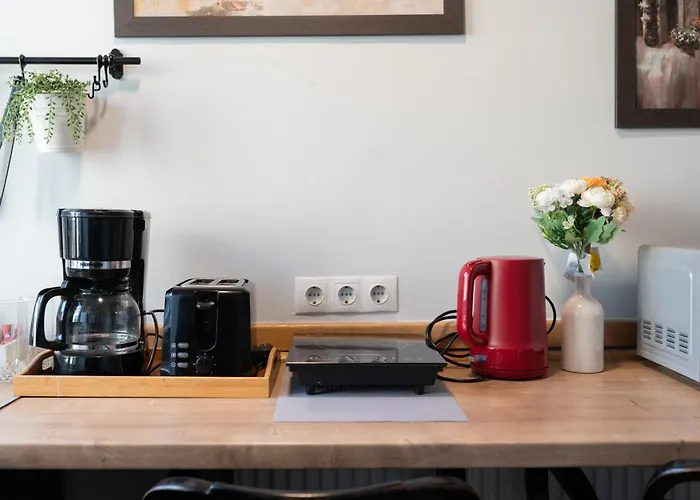 Noble 5 Star House In Unirii Plaza *