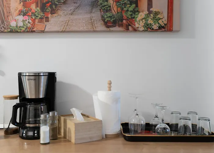 Noble 5 Star House In Unirii Plaza * Cluj-Napoca